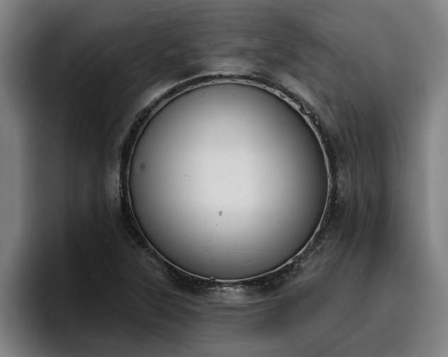 X0000094941315200712061223