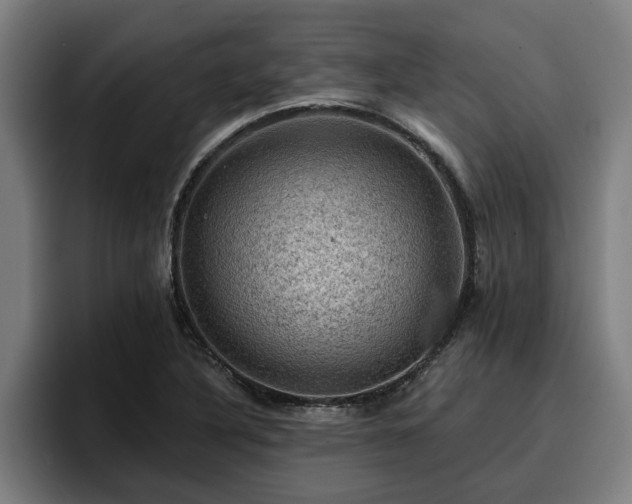 X0000094941316200712061223