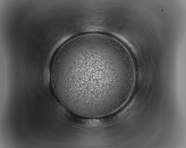 X0000094941317200712061223