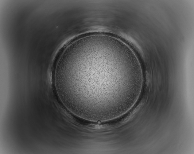 X0000094941318200712061223