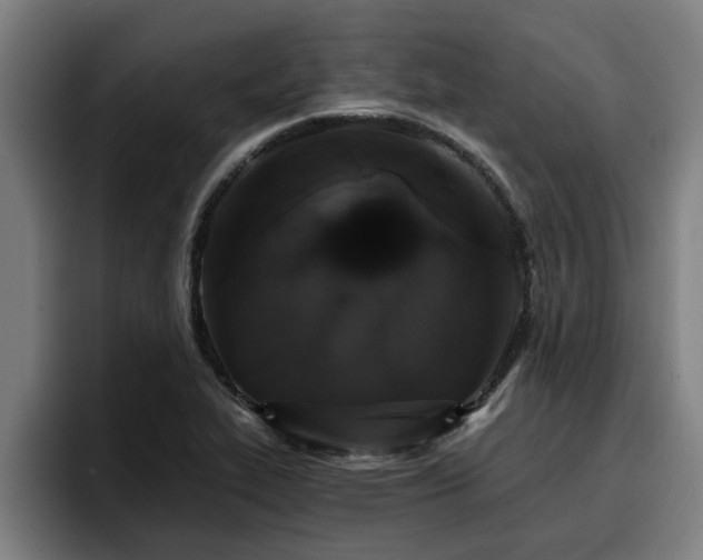 X0000094941319200712061223