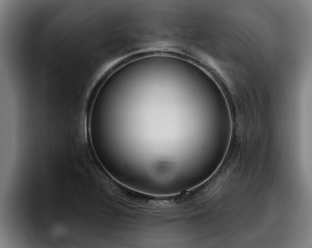 X0000094941320200712061223