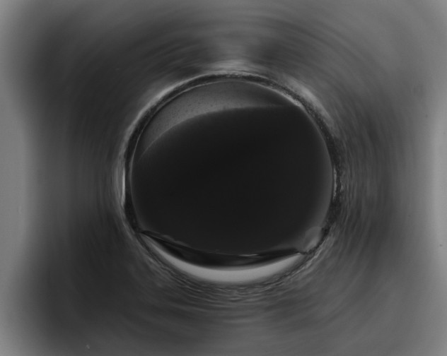 X0000094941323200712061223