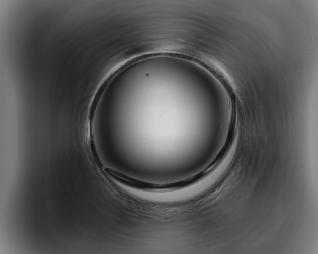 X0000094941324200712061223