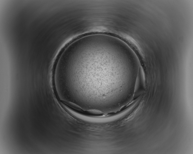 X0000094941326200712061223