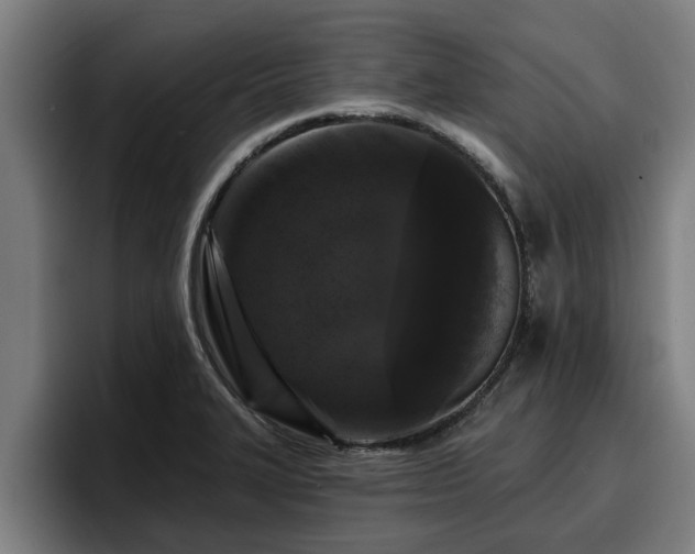 X0000094941327200712061223