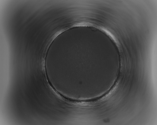 X0000094941329200712061223