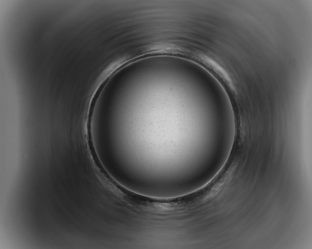 X0000094941330200712061223