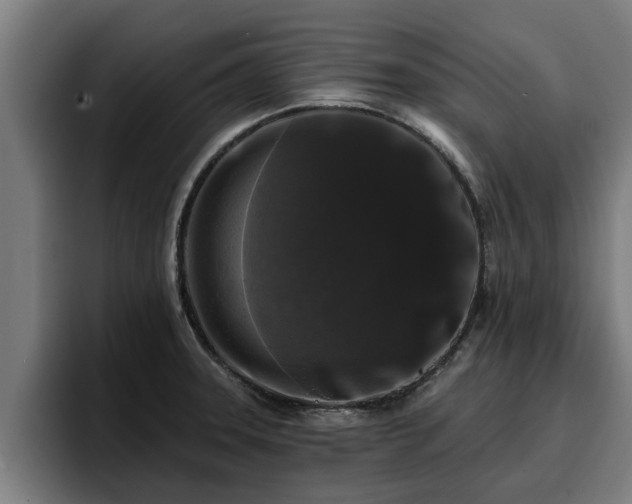 X0000094941331200712061223