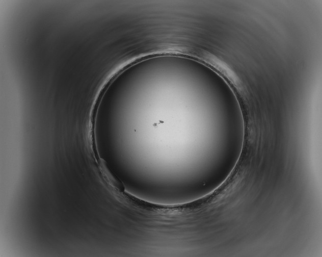 X0000094941332200712061223