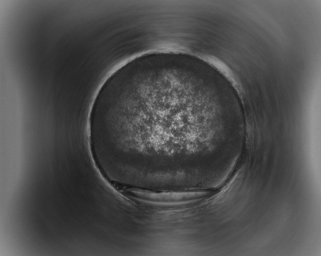 X0000094941335200712061223