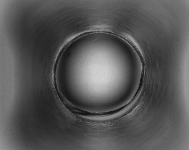 X0000094941336200712061223