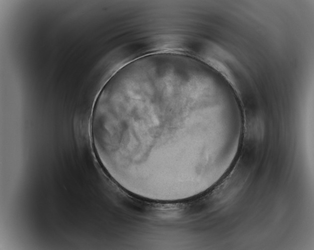 X0000094941338200712061223