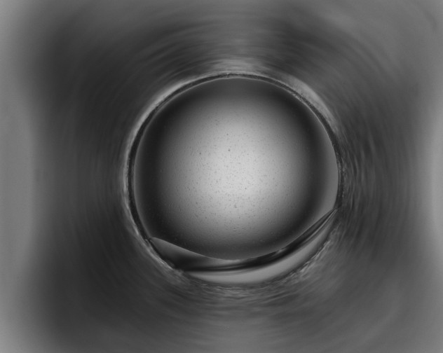 X0000094941339200712061223