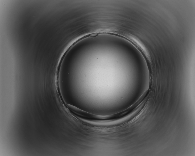 X0000094941340200712061223