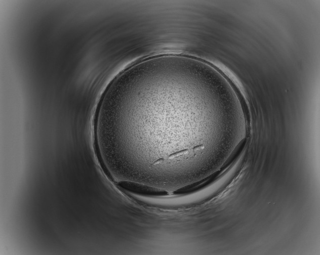 X0000094941341200712061223