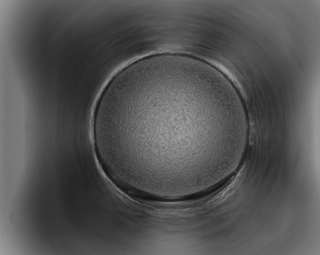 X0000094941342200712061223