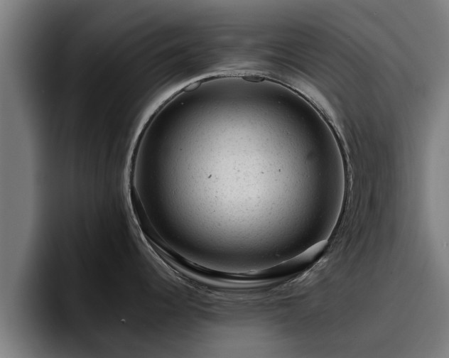 X0000094941344200712061223