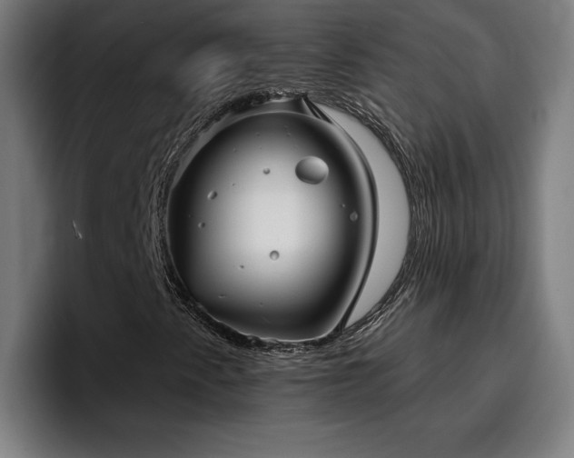 X0000094941345200712061223