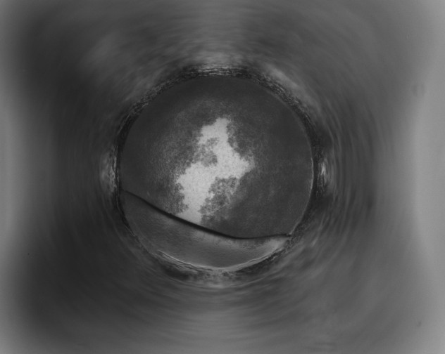 X0000094941348200712061223