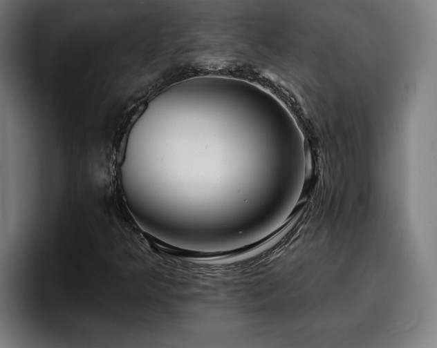 X0000094941349200712061223