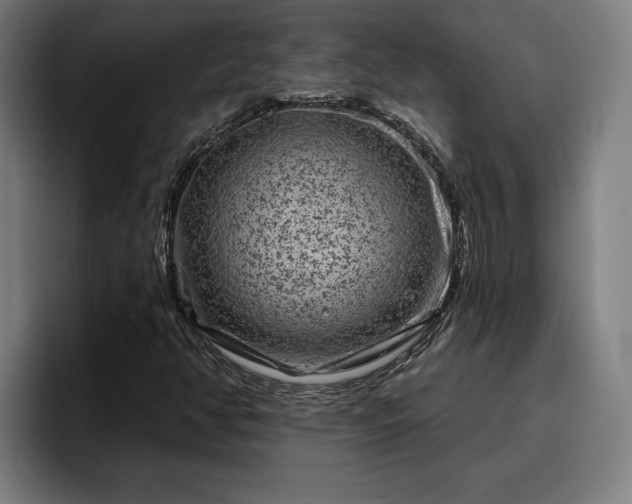 X0000094941350200712061223