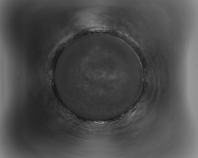 X0000094941351200712061223