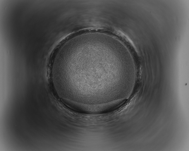 X0000094941352200712061223