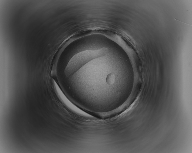 X0000094941353200712061223