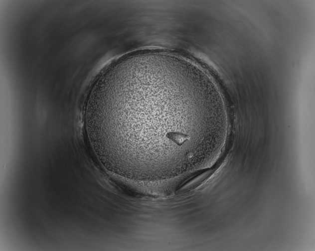 X0000094941355200712061223