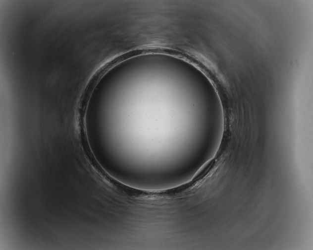 X0000094941356200712061223