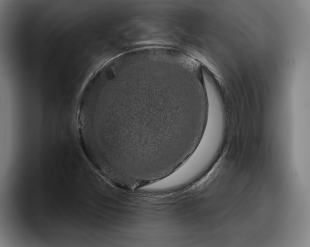 X0000094941357200712061223