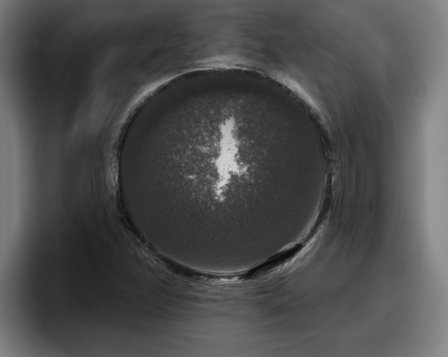 X0000094941358200712061223