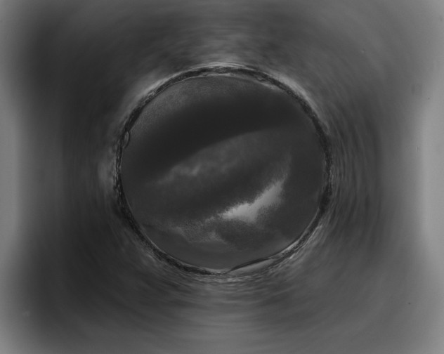 X0000094941359200712061223