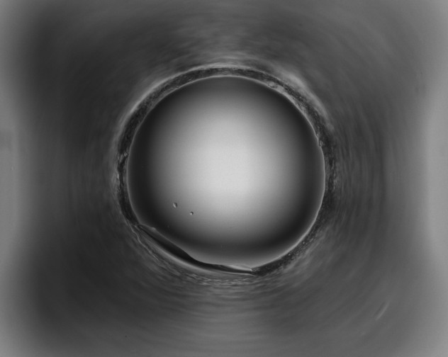 X0000094941360200712061223