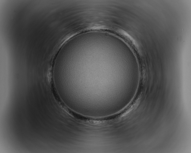 X0000094941361200712061223