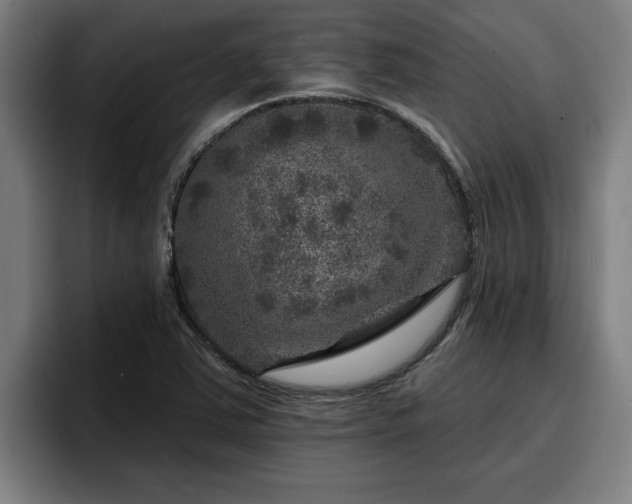 X0000094941363200712061223