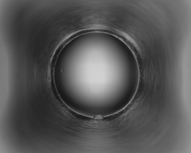 X0000094941364200712061223