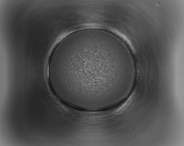 X0000094941365200712061223