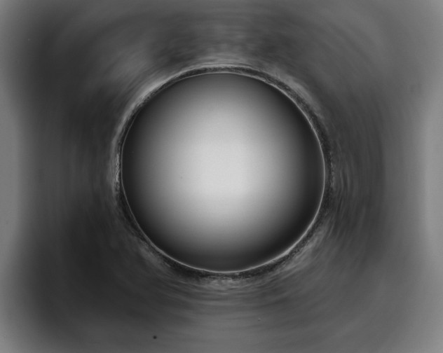 X0000094941366200712061223