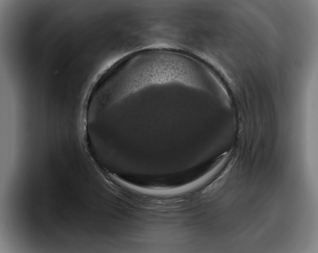 X0000094941367200712061223