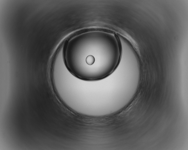 X0000094941368200712061222