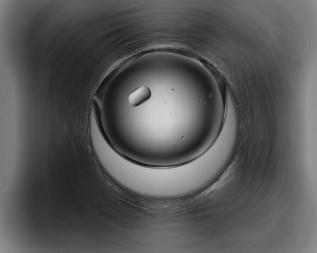 X0000094941369200712061222