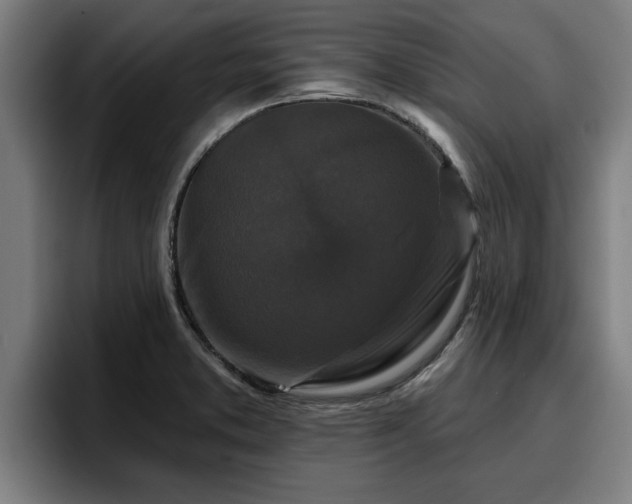 X0000094941373200712061222