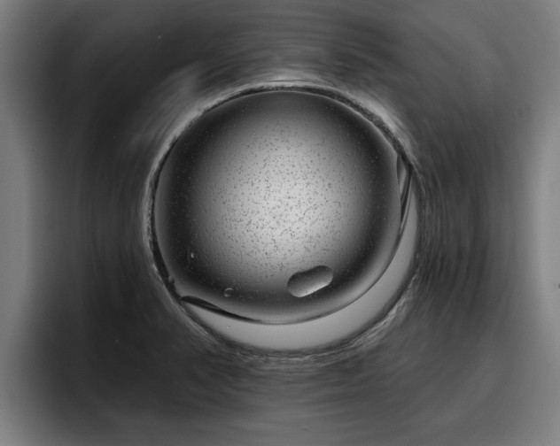 X0000094941374200712061222