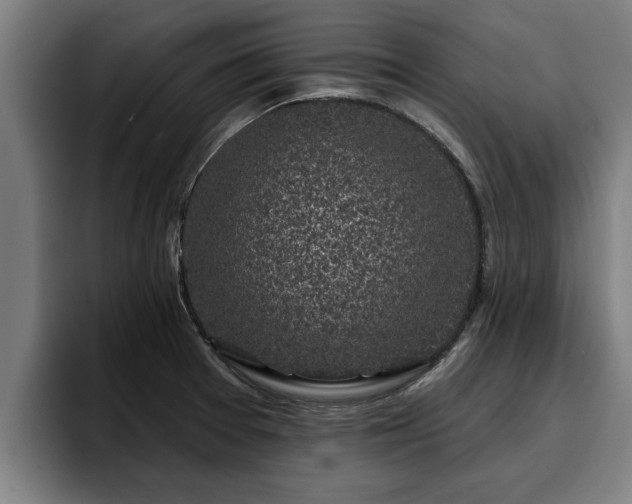 X0000094941377200712061222