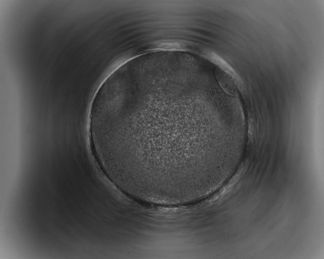 X0000094941378200712061222