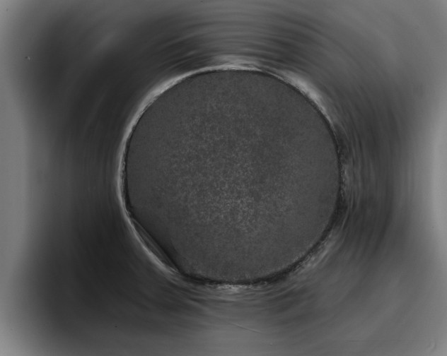 X0000094941379200712061222