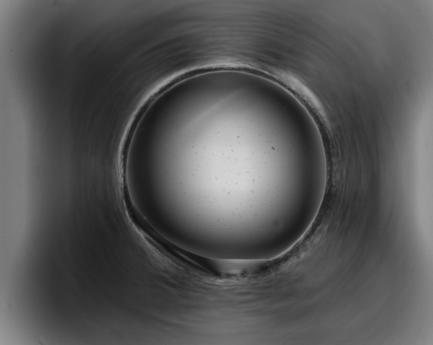 X0000094941380200712061222