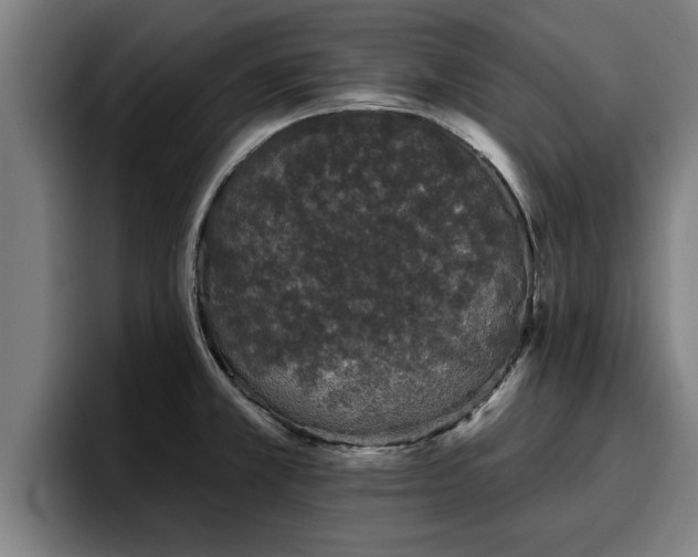 X0000094941381200712061222